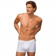 HANES SLIP BOXER SHORTS UNTERHOSE S M L XL XXL