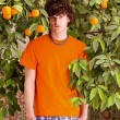 3 T-SHIRT FRUIT OF THE LOOM PREMIUM S M L XL XXL