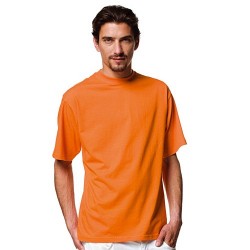 T-SHIRT SHIRT SILBER LABEL ZT180 JERZEES 3XL 4XL